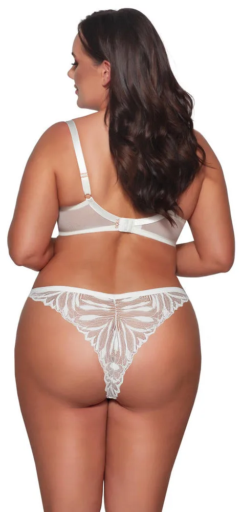 AVA BRAZYLIANY AV 2107/B
