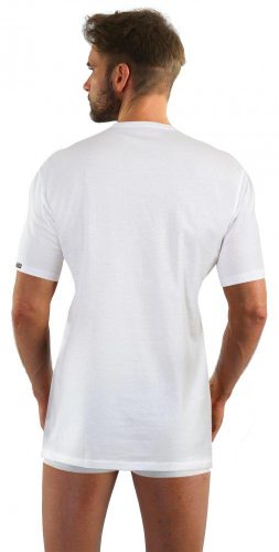 SESTO-SENSO COBRA KOSZULKA KLASYCZNY T-SHIRT MĘSKI BAWEŁNIANY