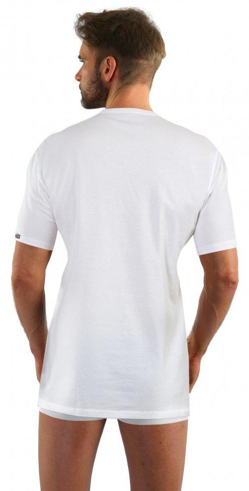 SESTO-SENSO COBRA KOSZULKA KLASYCZNY T-SHIRT MĘSKI BAWEŁNIANY