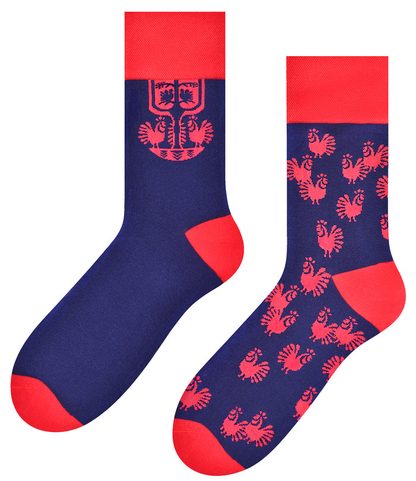 SKARPETY MĘSKIE FOLK 118